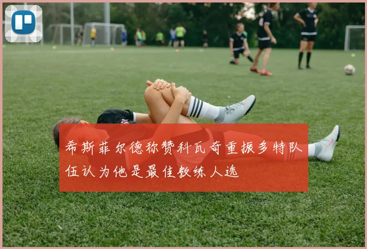 希斯菲尔德称赞科瓦奇重振多特队伍认为他是最佳教练人选